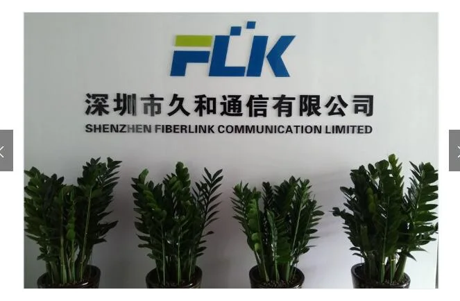 FTTH Equipment 1X8 2X8 1X16 2X16 Splitter for Fiber Optic Communication Provider Fiber Access Terminal Box Fat